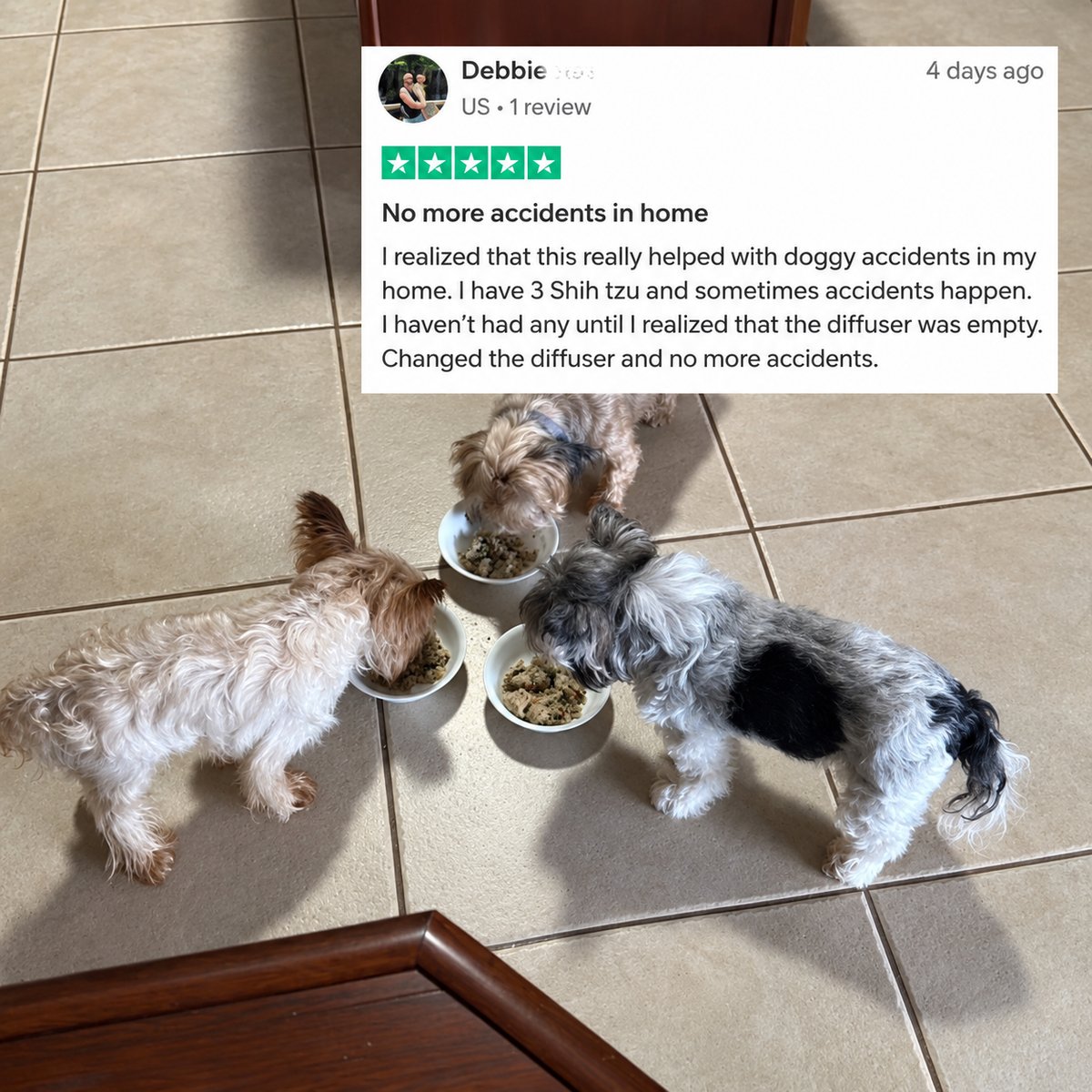 Calmimal | Calming Diffuser for Dogs