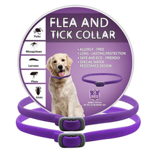 Flea And Tick Dog Collar